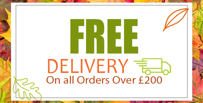 Free Delivery